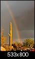 Photo thread-rainbow-3.jpg