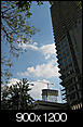 Pictures of Austin -- not touristy-monarch-360.jpg