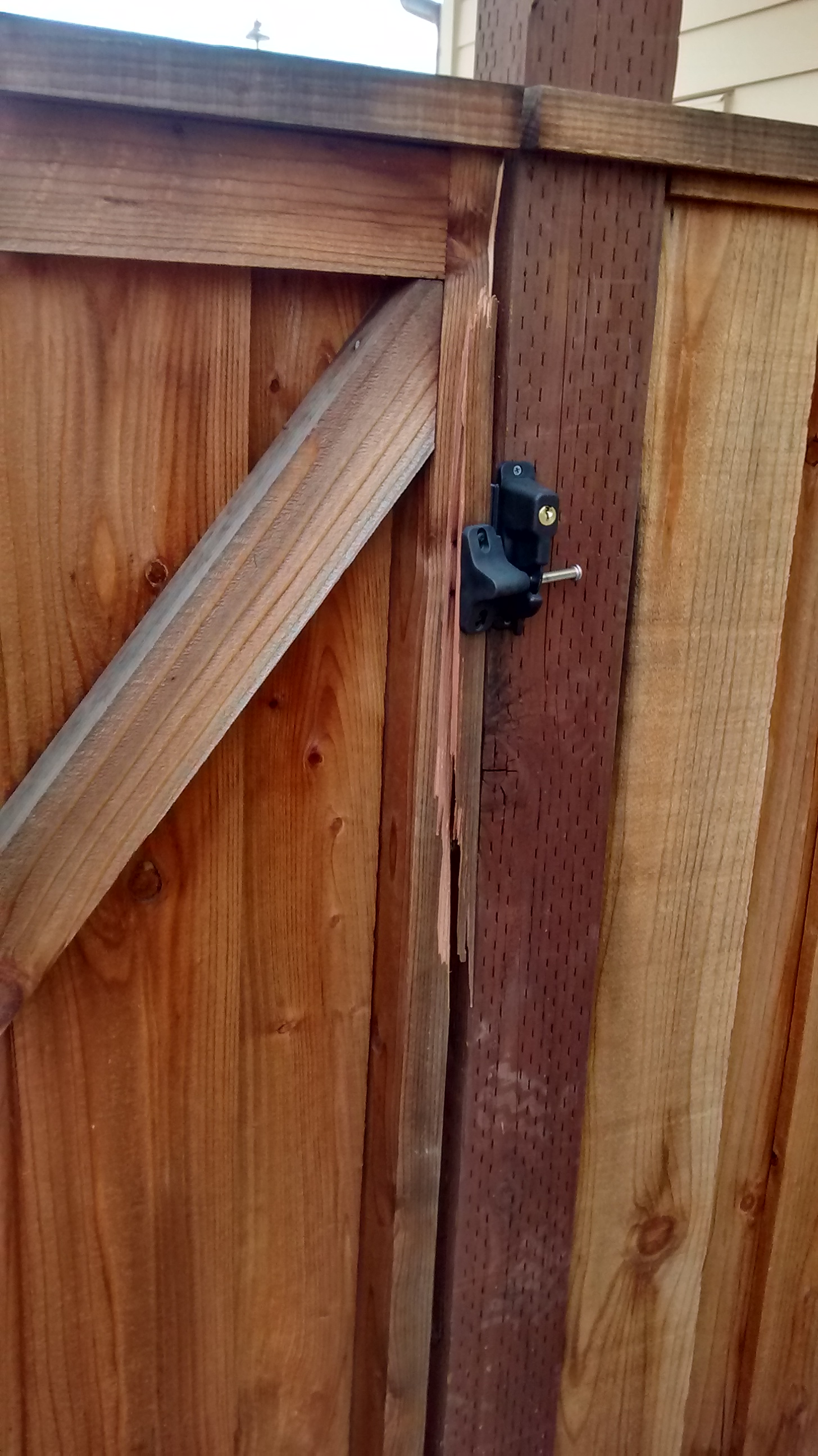 How To Repair A Crack In A Wood Door