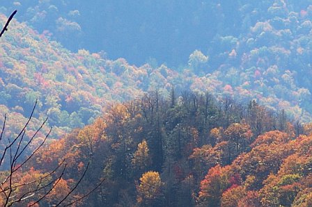 Tennessee Appalachian Mountains