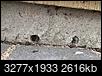 Holes on the side of slab foundation-cd94e7ba-53fd-434f-8c8a-4537c9caf114.jpeg