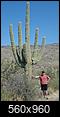 Cacti, Cactus of the World-996501_10201789486408663_1672334759_n.jpg
