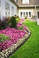 Central Coast Landscaping