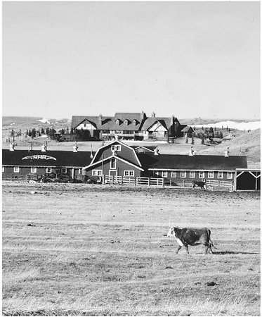 Hereford Ranch, one of the oldest existing western cattle operations, was established in 1883.