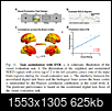 Human brain scale simulation: Digital Twin Brain-ucapture.png