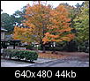 Beautiful Fall foilage of Atlanta on google maps..-mvc-007s.jpg