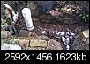 What happens after the plumber ripped his permit off my house?-imag0053.jpg