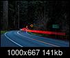 Hyperion: Tallest Redwood: Heard hide or hair? Scuttlebutt?-lights_1200.jpg