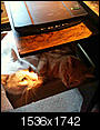 Cat pics!!!-kitties_in_a_drawer_4-22-12_cropped.jpg