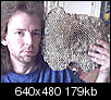 Collecting Wasps Nests-picture-136.jpg