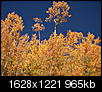 Fall Colors 2010-1.jpg