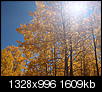 Fall Colors 2010-4.jpg