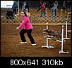 Jump for agility! ( photos)-20121014_denali-jump-1.jpg