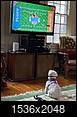 Does your dog recognize animals on TV?-img_3538.jpg