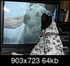Does your dog recognize animals on TV?-2001-01-01_033.jpg
