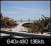 Preserving the Beauty – Florida Pics II-4-11-07-036.jpg