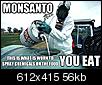 GMO News and Discussion Thread-monsanto_bodysuit.jpg