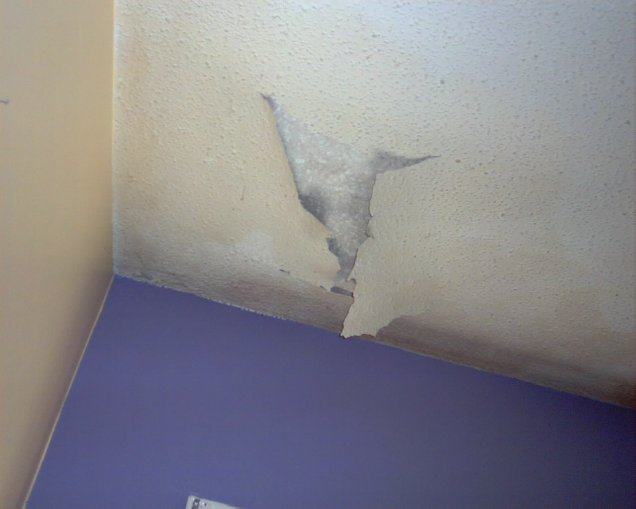 Photo How To Fix A Water Damaged Ceiling Images Water