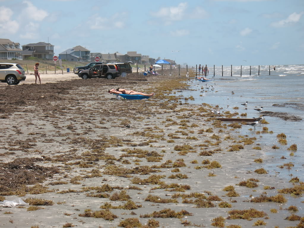 Galveston Beaches 2024 - Katey Dolorita