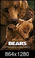 what is the last movie you have watched?-bears.jpg