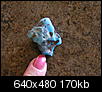 Finding Indian artifacts-turquoise-size.jpg