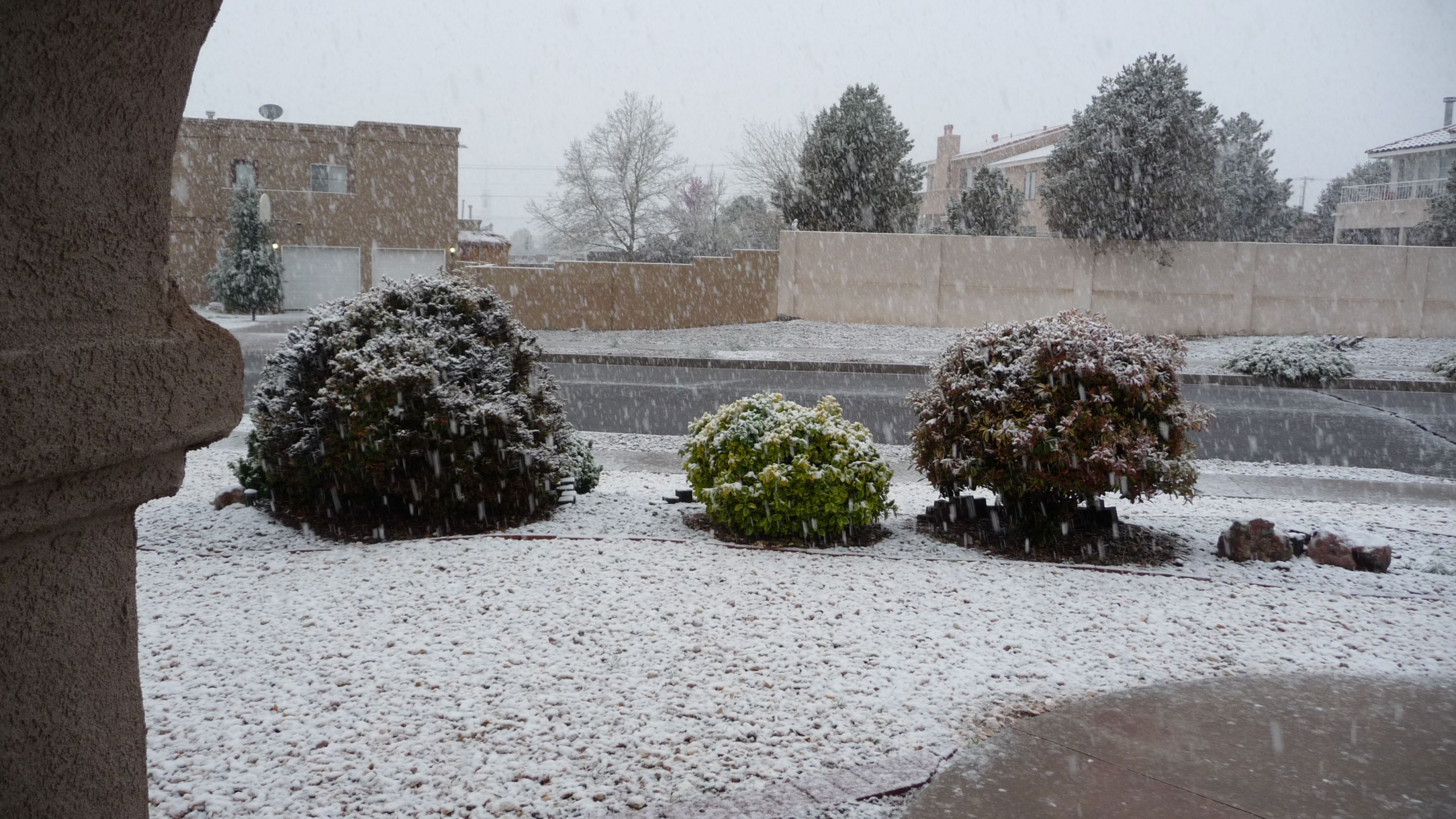 Snow In The Albuquerque Area (Las Cruces, Gallup allergies, safe