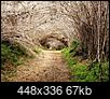 Your Photos of Hiking Trails-arrayanes-forest-2-redone-.jpg