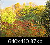 Fall Foliage-img_0190.jpg