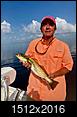 Fishing Charlotte Harbor Area-trout-pirates-harbor-091718.jpg