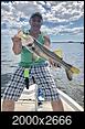 Fishing Charlotte Harbor Area-snook-alligator-bay_april2019_forum-resized.jpg