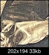 Da Vinci's Serpents-20240303_164133.jpg