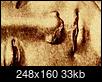 Da Vinci's Serpents-20240306_230729.jpg