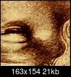 Da Vinci's Serpents-20240308_020638.jpg