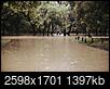 Olmos Basin Park - Lowest water area in San Antonio?-flood1981-3-olmos-park-.jpg