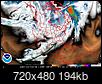 Winter 2013-14 Thread — Northern Hemisphere-satellite18e.jpg