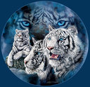 White Tiger Security Corps