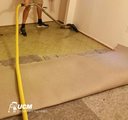 UCM Carpet Cleaning Miami