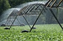 South Plains Irrigation, Inc.